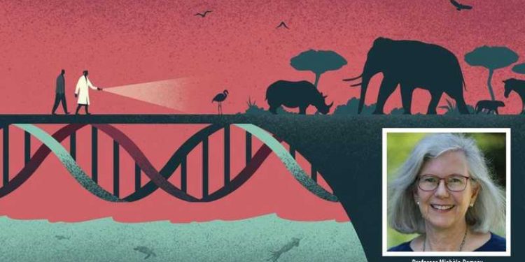 Genes for africa