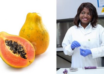 Dr Nompumelelo Prudence Mtsweni