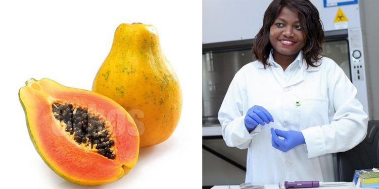 Research proves FRUITFUL 18 Dr Nompumelelo Prudence Mtsweni