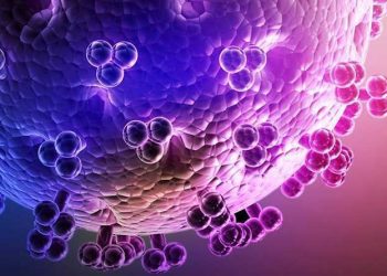 Dr Rose Leke is a leader in malaria research