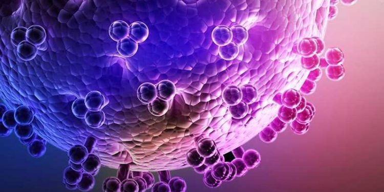 Queen of Immunology 18 Dr Rose Leke is a leader in malaria research