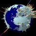 Keeping Count