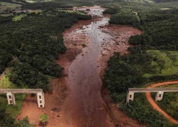 Looking to put a sting in tailings crop optimised