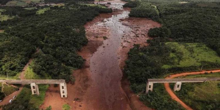Looking to put a sting in tailings crop optimised