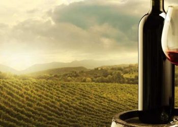 Wine science and 4IR-crop optimised