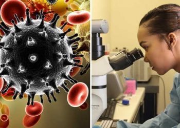 Wits scientist at the forefront of HIV battle