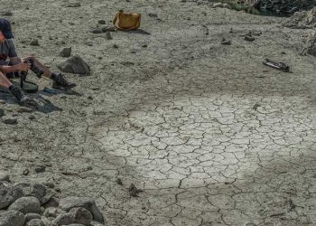 dr-elizabeth-weir-article