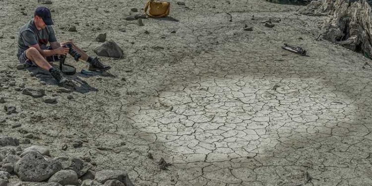 dr-elizabeth-weir-article