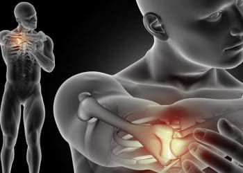 Musculoskeletal innovation