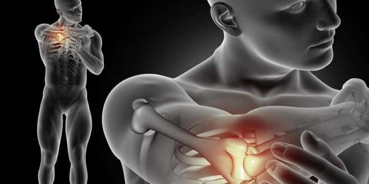 Musculoskeletal innovation