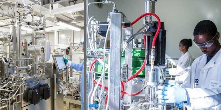 bio-manufacturing sector