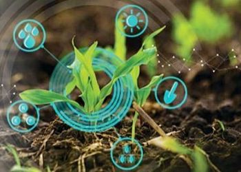 Bio Innovation in Africa - An enabling environment for bio-innovation to thrive in Africa