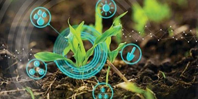 Bio Innovation in Africa - An enabling environment for bio-innovation to thrive in Africa