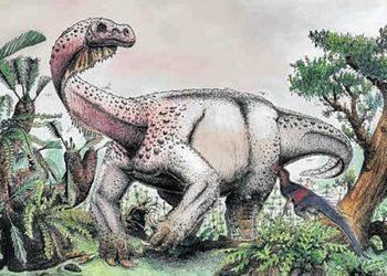 Meet Ledumahadi Mafube the Jurassic giant of Mzansi