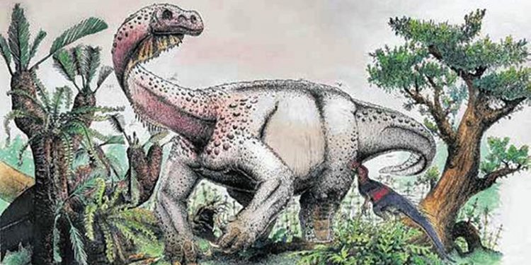 Meet Ledumahadi Mafube the Jurassic giant of Mzansi 18 Meet Ledumahadi Mafube the Jurassic giant of Mzansi