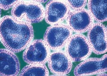 African Academy of Sciences collaborates with Janssen Pharmaceutical