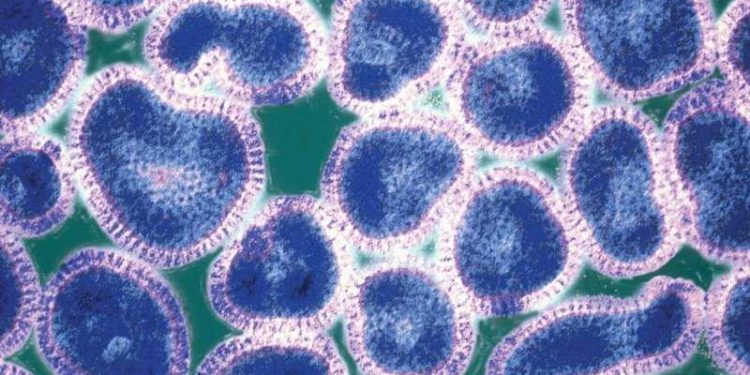 African Academy of Sciences collaborates with Janssen Pharmaceutical