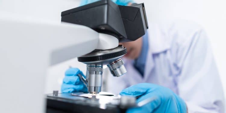 Big punt for SMMEs in biotechnology