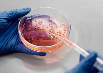 Ground breaking African genome study finds varieties that could lead to viral immunity, DNA repair and explains ancient migrations