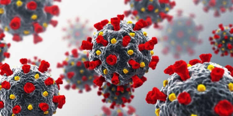 SA top scientists are part of a global response to the new variant of the novel Covid-19 18 SA top scientists are part of a global response to the new variant of the novel Covid-19