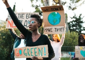 Latest scientific study shows that forests can help reduce the impact of climate change