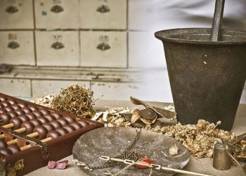 CSIR and DSI assist traditional health practitioners to improve quality and safety of their medicines