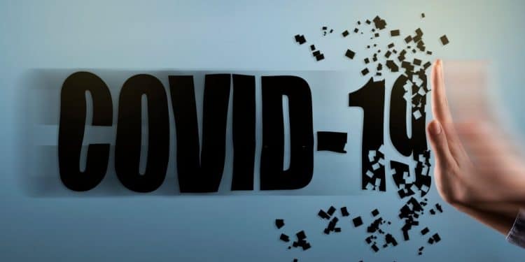 ‘Leaping into the breach’ in the hour of need