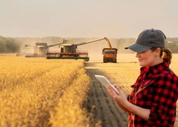 University of the Free State’s departments merge to boost food systems