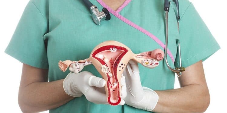 UCT’s MA student is leading scientific research into cervical cancer