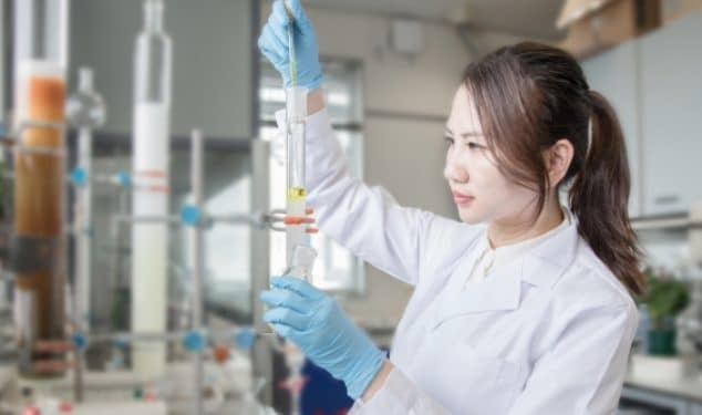 Using African plants to develop global quality skincare products 18 Using African plants to develop global quality skincare products