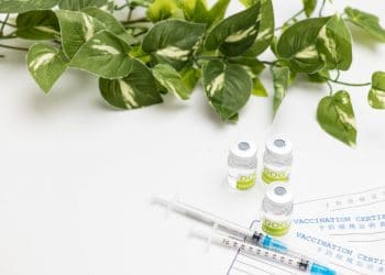 An innovative green animal vaccine scoops R200 000 in a clean-tech competition
