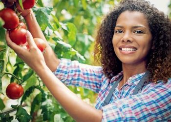 Boosting global food security with nano-fertilizers