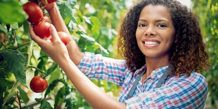 Boosting global food security with nano-fertilizers