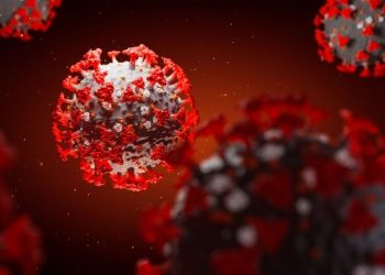 Nzimande says Covid-19 has brought science and technology to the fore