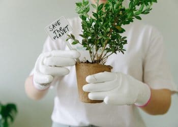 Top female scientific innovations to save the planet 18 Top female scientific innovations to save the planet