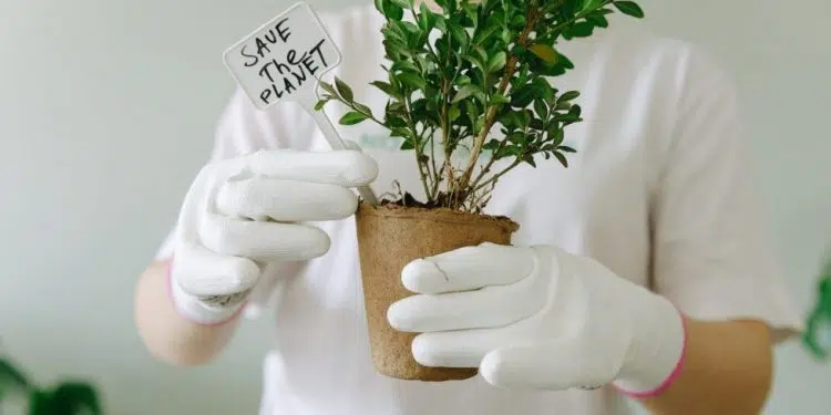 Top female scientific innovations to save the planet