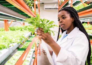 ARC is leveraging its scientific capabilities to improve food security