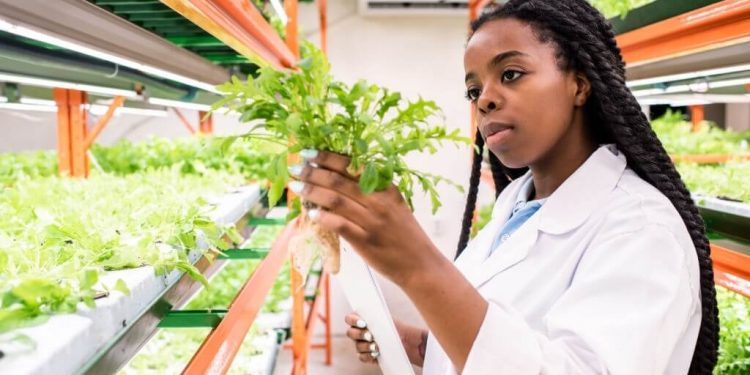 ARC is leveraging its scientific capabilities to improve food security