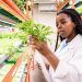ARC is leveraging its scientific capabilities to improve food security