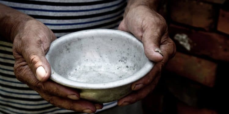 Contributing towards global goal to fight hunger in Africa