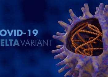 Nzimande lays down the rules for tertiary sector to limit Delta variant infections