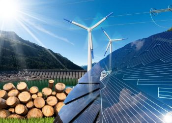 Statistics of utility-scale power generation in South Africa H1-2021