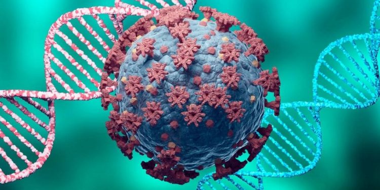 New variants of COVID-19 may prolong the duration of the virus 18 New variants of COVID-19 may prolong the duration of the virus