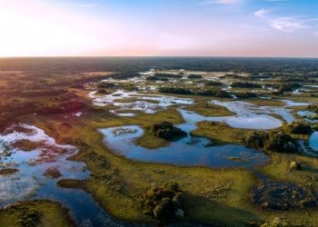 Deploying GIS technology to safeguard the country’s precious wetlands