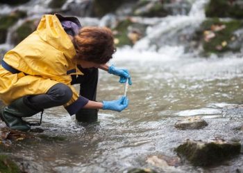 CSIR to deploy earth observation data to manage the environment