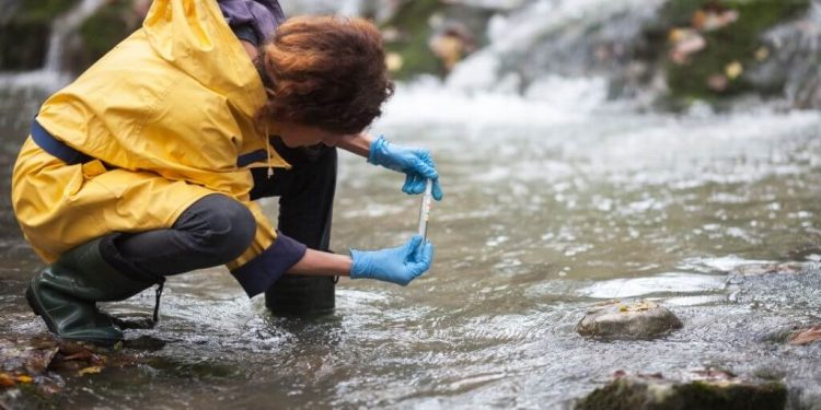 CSIR to deploy earth observation data to manage the environment 18 CSIR to deploy earth observation data to manage the environment