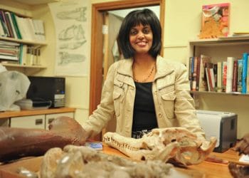 On a mission to increase the number of women in palaeontology