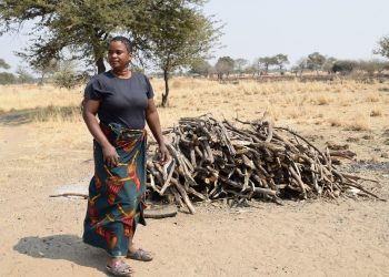 Improved livelihoods among livestock farming women and youth in Itebe, Zambia