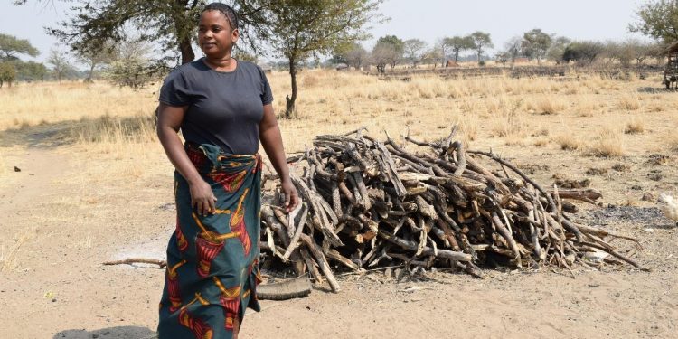 Improved livelihoods among livestock farming women and youth in Itebe, Zambia