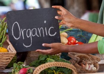 North African farmers paving the way in organic production